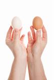 Female hands with eggs