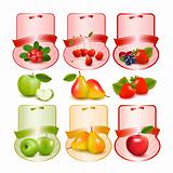 Set of labels with berries and fruit. Vector illustration.