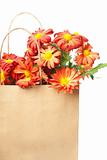 Chrysanthemums in a paper bag