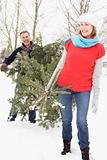 Senior Couple Carrying Christmas Tree In Snowy Landscape