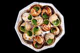 snails with herb butter