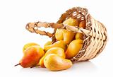 ripe pears in basket