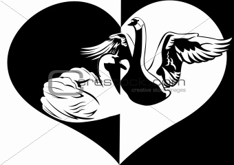 Love and swans