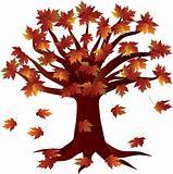 Fall Season Autumn Tree Illustration