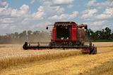 Combine harvester working on a wheat field 