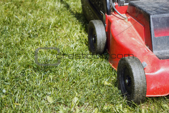 detail of lawnmower on green grass