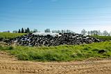 silage by farmers using old tires as a burden