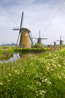 Windmills at Kinderdijk, the Netherlands in spring