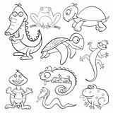 Coloring book with reptiles and amphibians