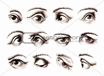 Human eye in various positions