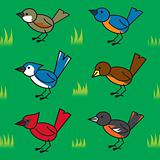 Seamless Cartoon Birds Pattern