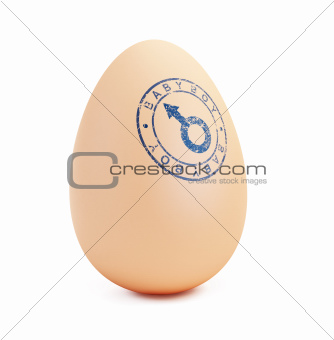 baby boy egg