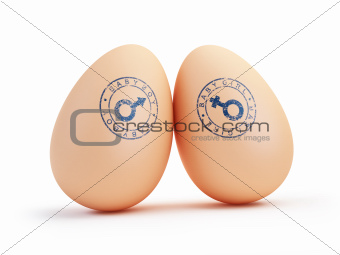 baby boy and girl egg on a white background 