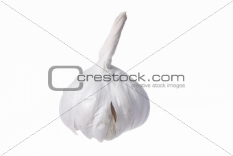 One Garlic on White Background.
