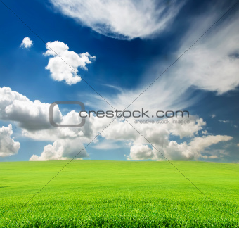 sky with green grass in the field 
