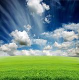 cloudy sky with green grass meadow