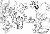 cartoon insects on the meadow for coloring
