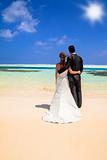 Bride and groom on idyllic tropical beach