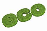 Green Eco Concept