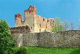 Livonian Order castle ruins