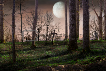 Night with a full moon over the cemetery