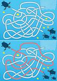 Blue sea turtle maze