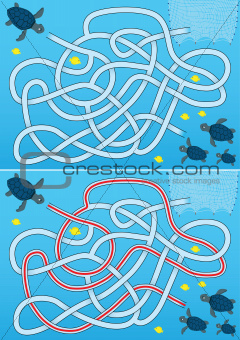 Blue sea turtle maze