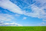 Beautiful cloudscape over wheat field