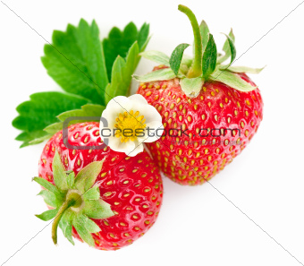 strawberry berry with green leaf and flower
