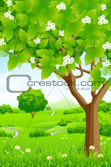 Green Background with Trees and Mountains