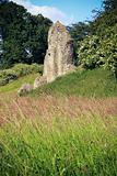 berkhamsted castle ruins hertfordshire uk