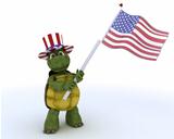 tortoise with american flag