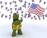tortoise with american flag
