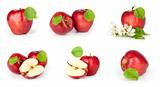 red apples on white background set