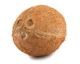Ripe coconut