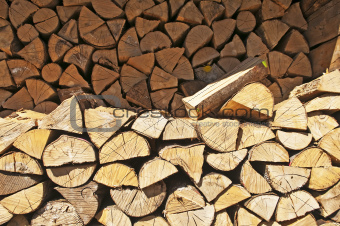 fuel-wood