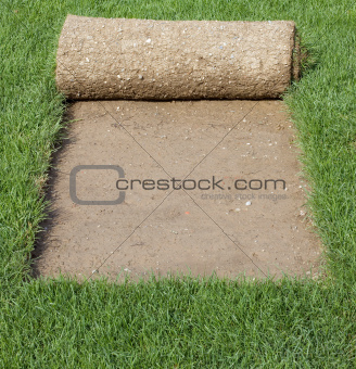 Grass Carpet Cover