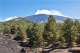 The volcano Etna landscape