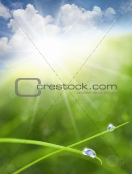 Eco Nature Background with Grass, Sun and Blue Sky Reflections i