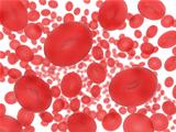 red blood cells