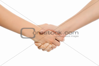 Two shaking hands.