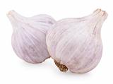 Two purple garlic