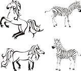 Horses and zebras