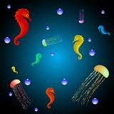 jellyfishes and seahorses