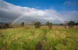 Rainbow Over Meadow