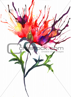 Abstract illustration of Peony flowers