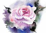 Rose in watercolor