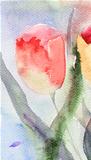 Watercolor background with stylized tulips flowers