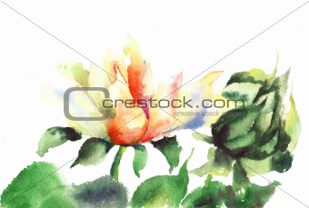Beautiful flower in watercolor