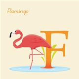 Animal alphabet with flamingo